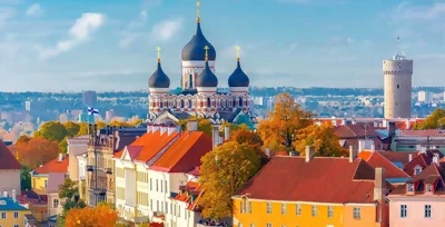 Tallinn: Privater Rundgang mit einem Bewohner der Stadt